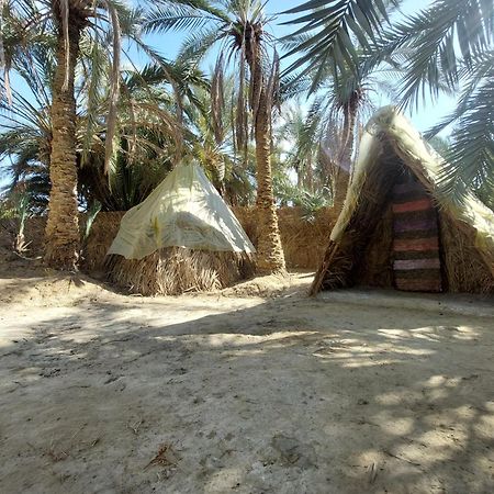 Forest Camp Siwa - كامب الغابة Siwa Oasis ภายนอก รูปภาพ