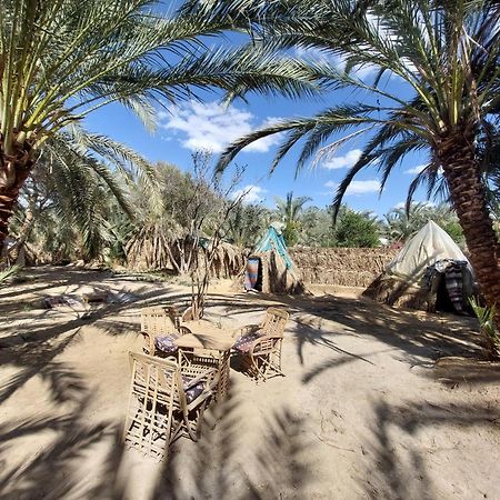 Forest Camp Siwa - كامب الغابة Siwa Oasis ภายนอก รูปภาพ