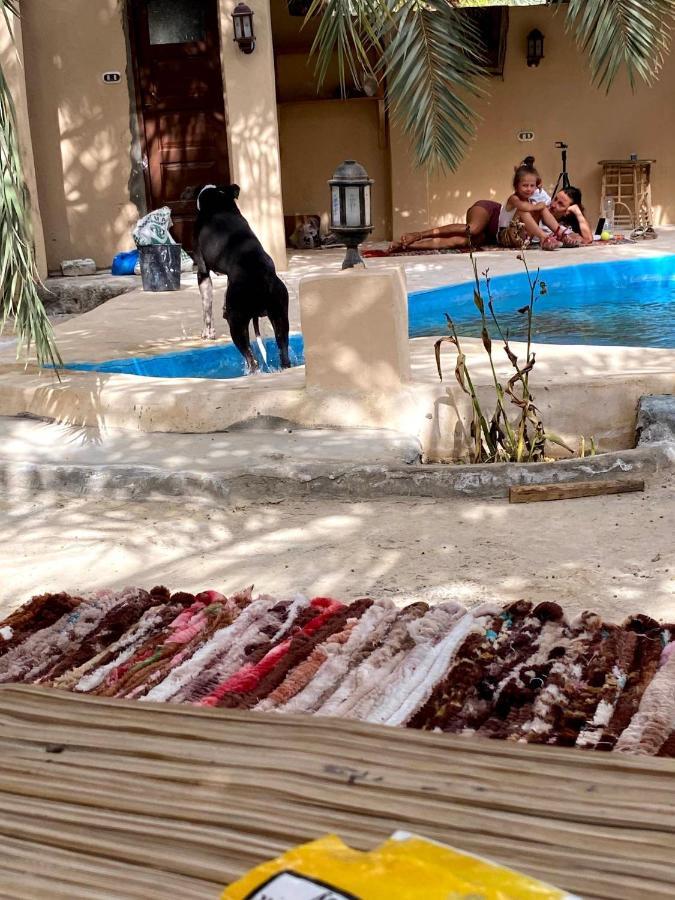 Forest Camp Siwa - كامب الغابة Siwa Oasis ภายนอก รูปภาพ