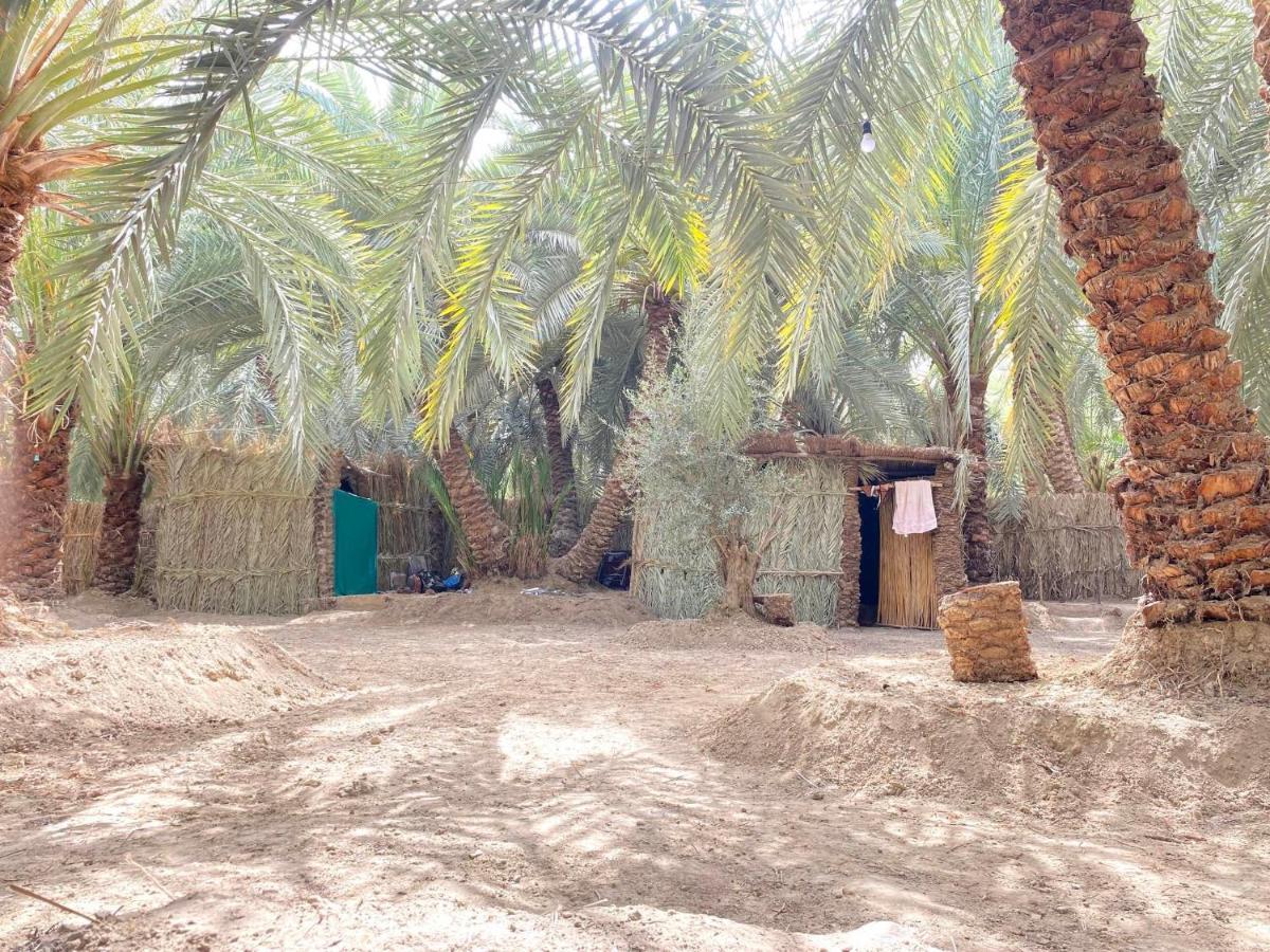 Forest Camp Siwa - كامب الغابة Siwa Oasis ภายนอก รูปภาพ