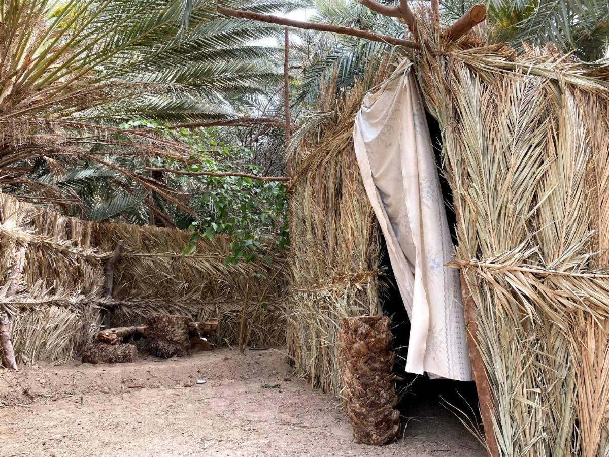 Forest Camp Siwa - كامب الغابة Siwa Oasis ภายนอก รูปภาพ