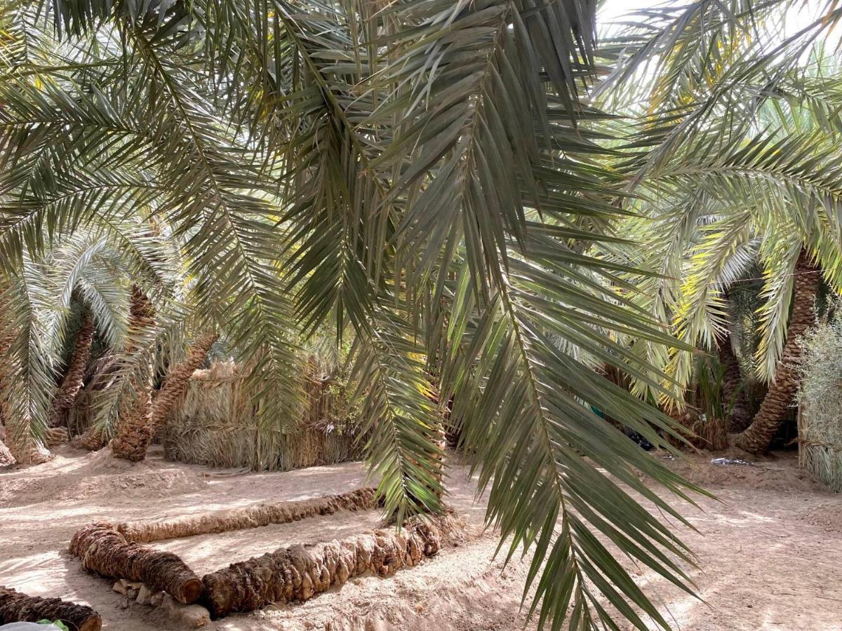 Forest Camp Siwa - كامب الغابة Siwa Oasis ภายนอก รูปภาพ