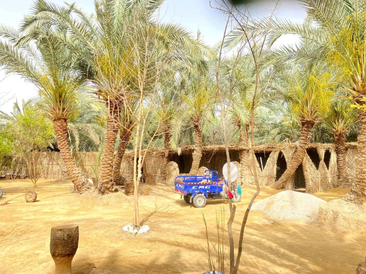Forest Camp Siwa - كامب الغابة Siwa Oasis ภายนอก รูปภาพ