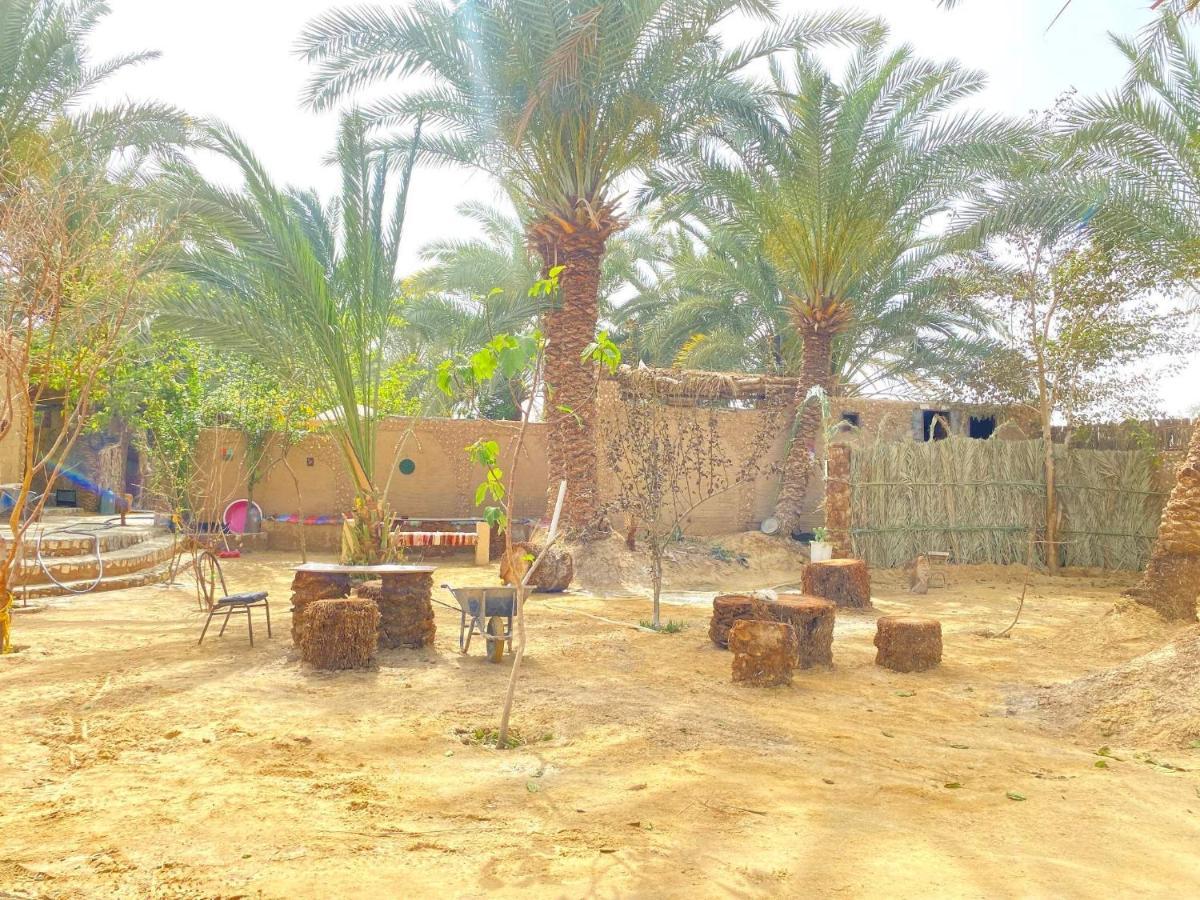 Forest Camp Siwa - كامب الغابة Siwa Oasis ภายนอก รูปภาพ
