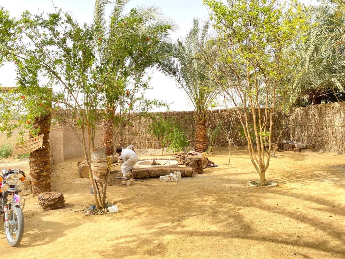 Forest Camp Siwa - كامب الغابة Siwa Oasis ภายนอก รูปภาพ
