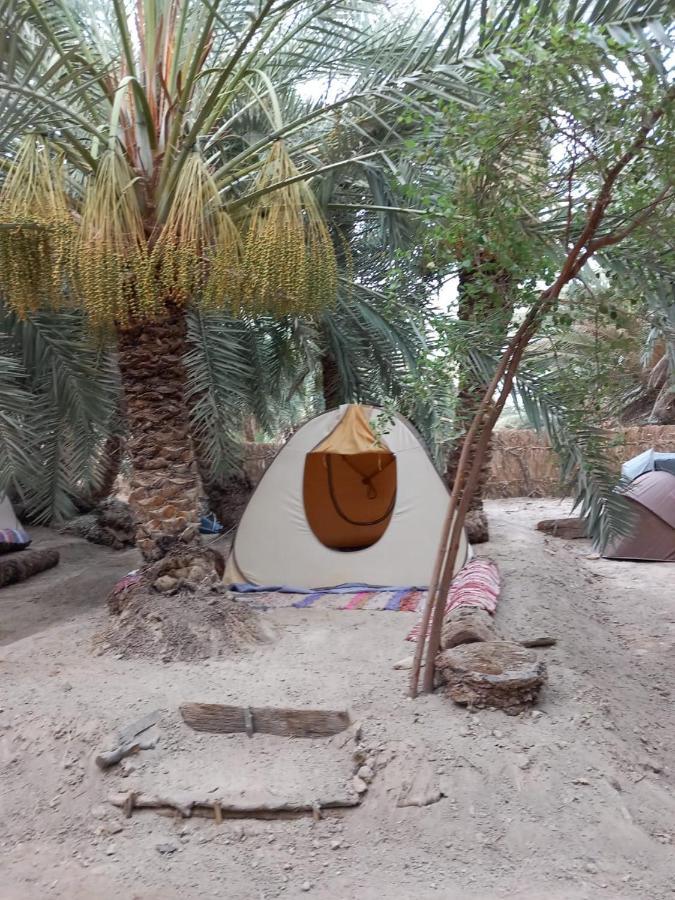 Forest Camp Siwa - كامب الغابة Siwa Oasis ภายนอก รูปภาพ