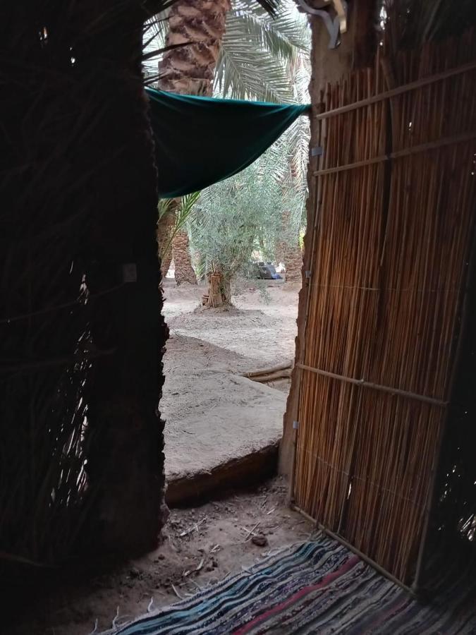 Forest Camp Siwa - كامب الغابة Siwa Oasis ภายนอก รูปภาพ