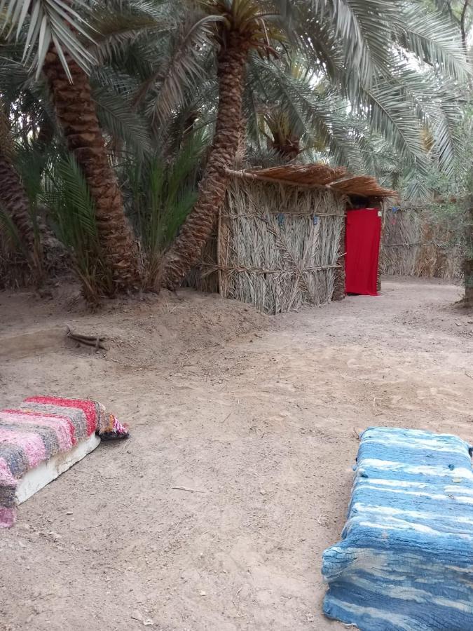 Forest Camp Siwa - كامب الغابة Siwa Oasis ภายนอก รูปภาพ