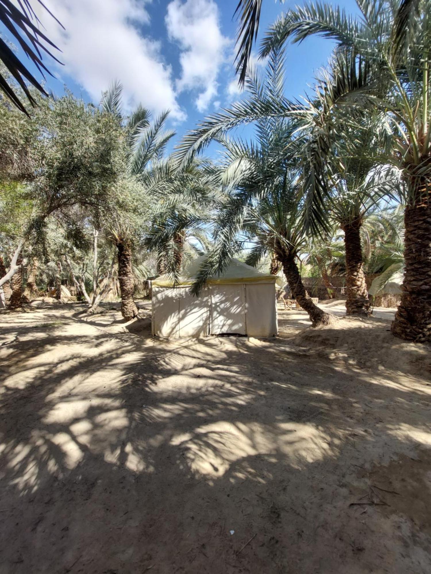 Forest Camp Siwa - كامب الغابة Siwa Oasis ภายนอก รูปภาพ