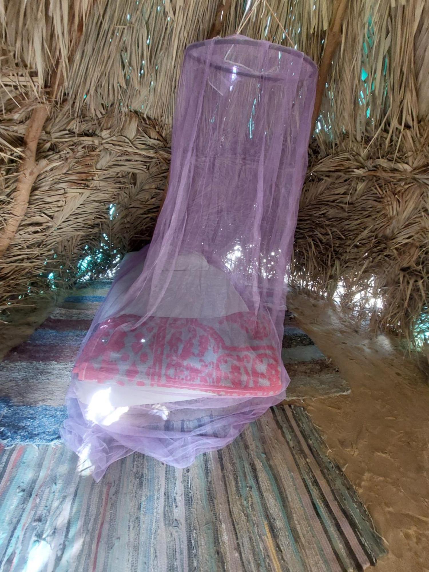 Forest Camp Siwa - كامب الغابة Siwa Oasis ภายนอก รูปภาพ