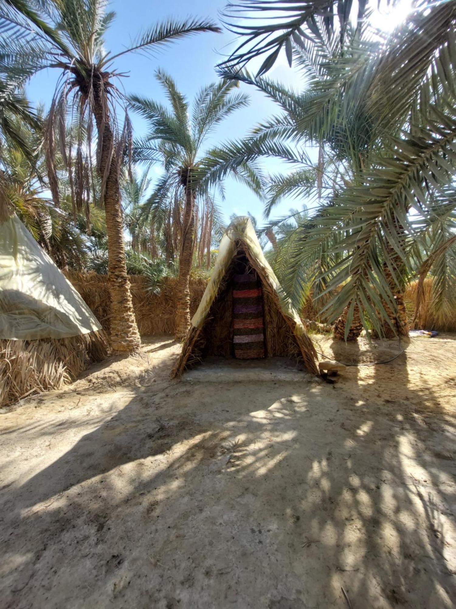 Forest Camp Siwa - كامب الغابة Siwa Oasis ภายนอก รูปภาพ