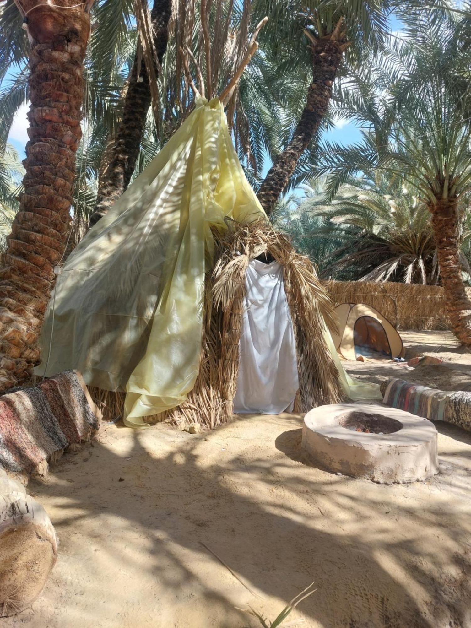 Forest Camp Siwa - كامب الغابة Siwa Oasis ภายนอก รูปภาพ