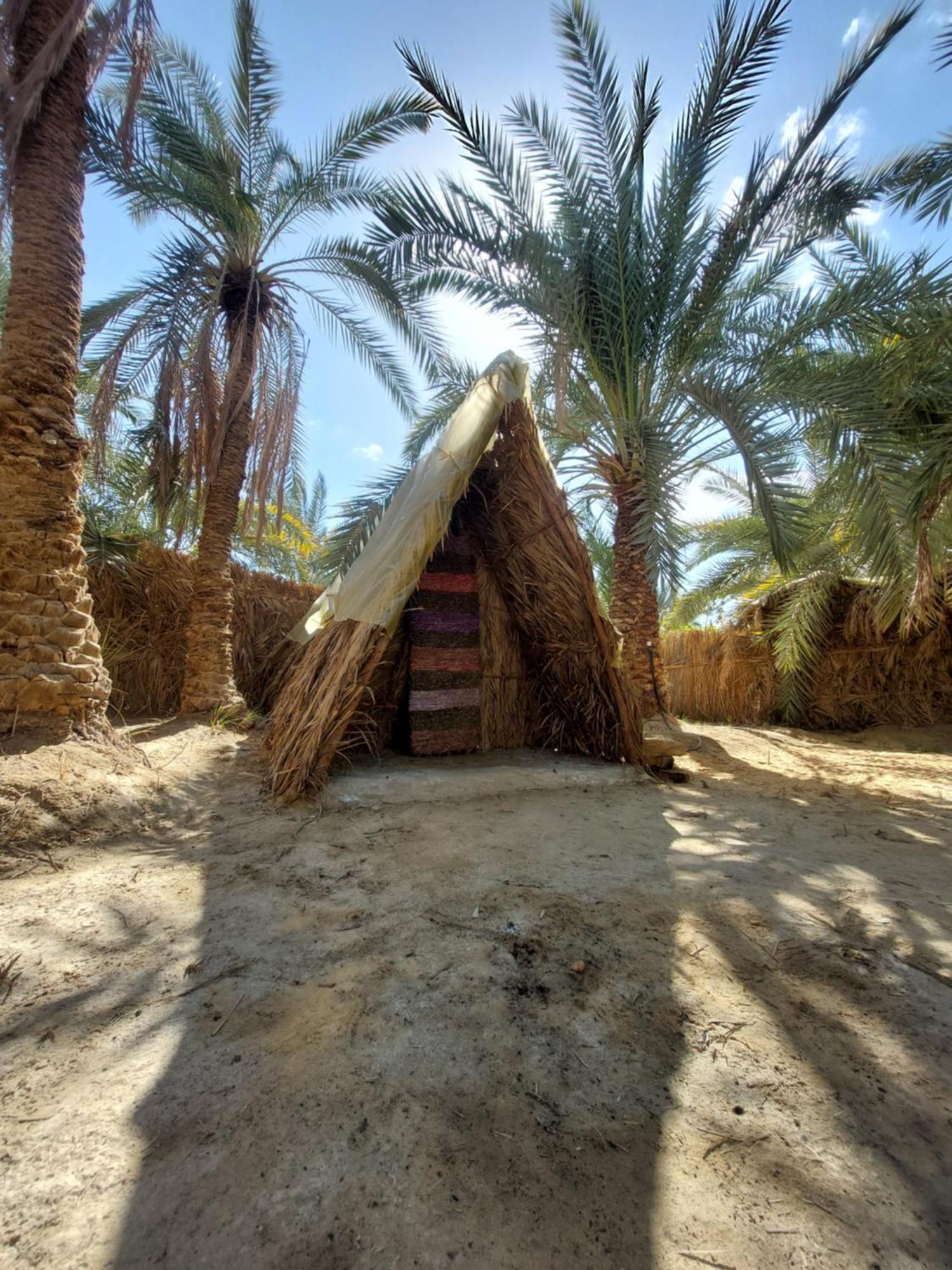 Forest Camp Siwa - كامب الغابة Siwa Oasis ภายนอก รูปภาพ