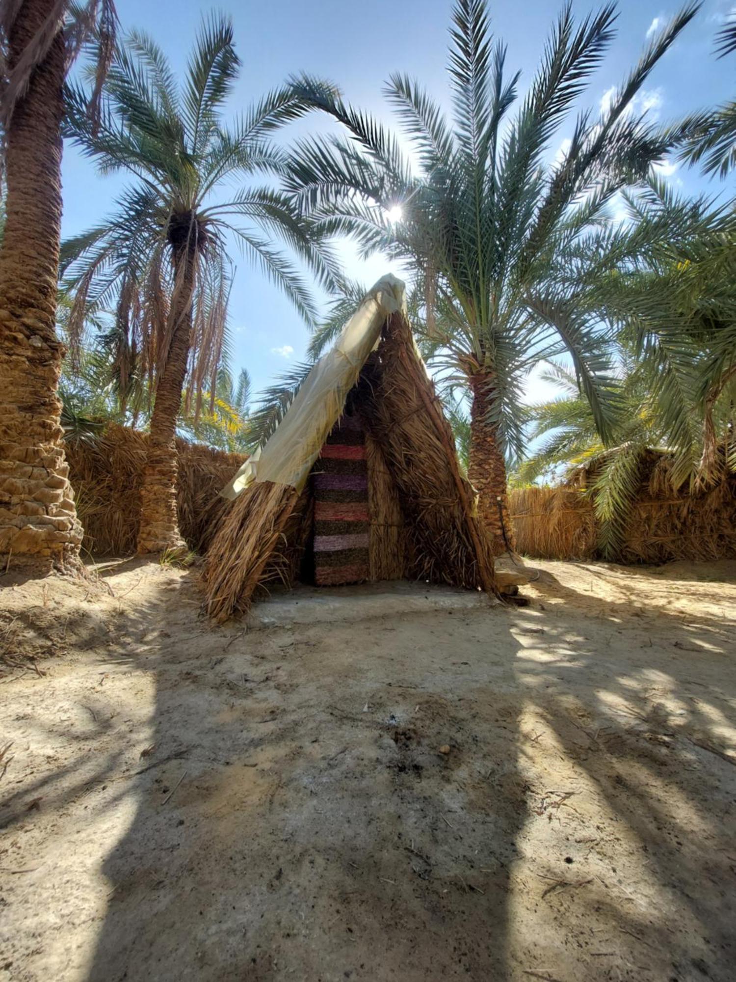 Forest Camp Siwa - كامب الغابة Siwa Oasis ภายนอก รูปภาพ