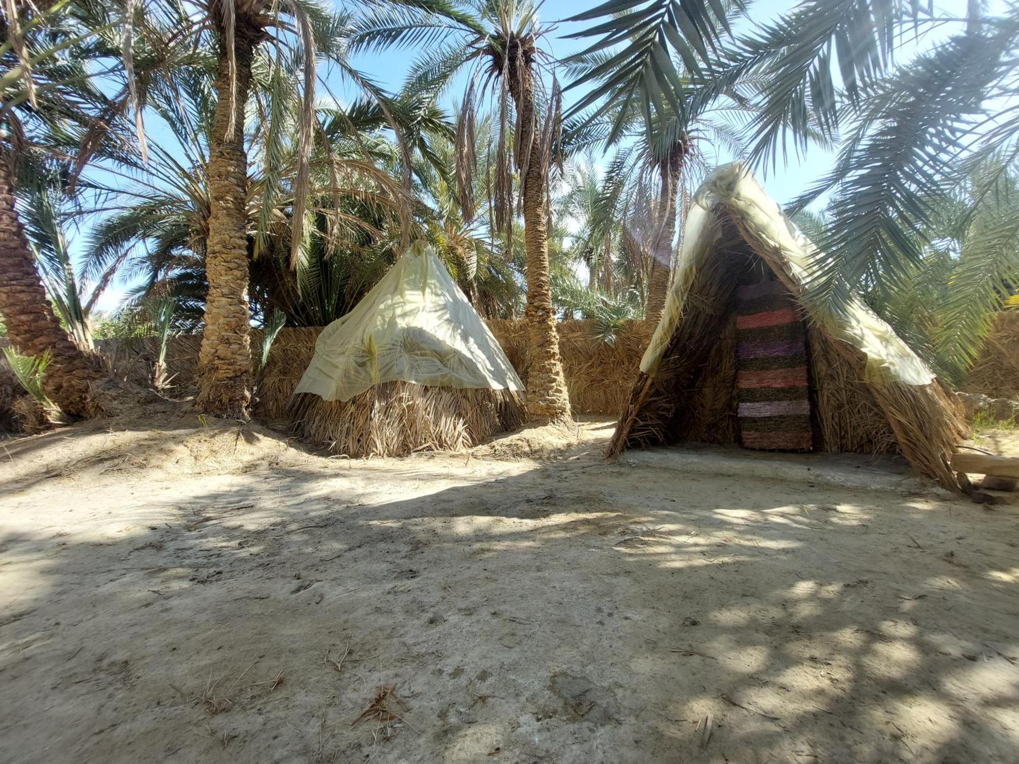 Forest Camp Siwa - كامب الغابة Siwa Oasis ภายนอก รูปภาพ