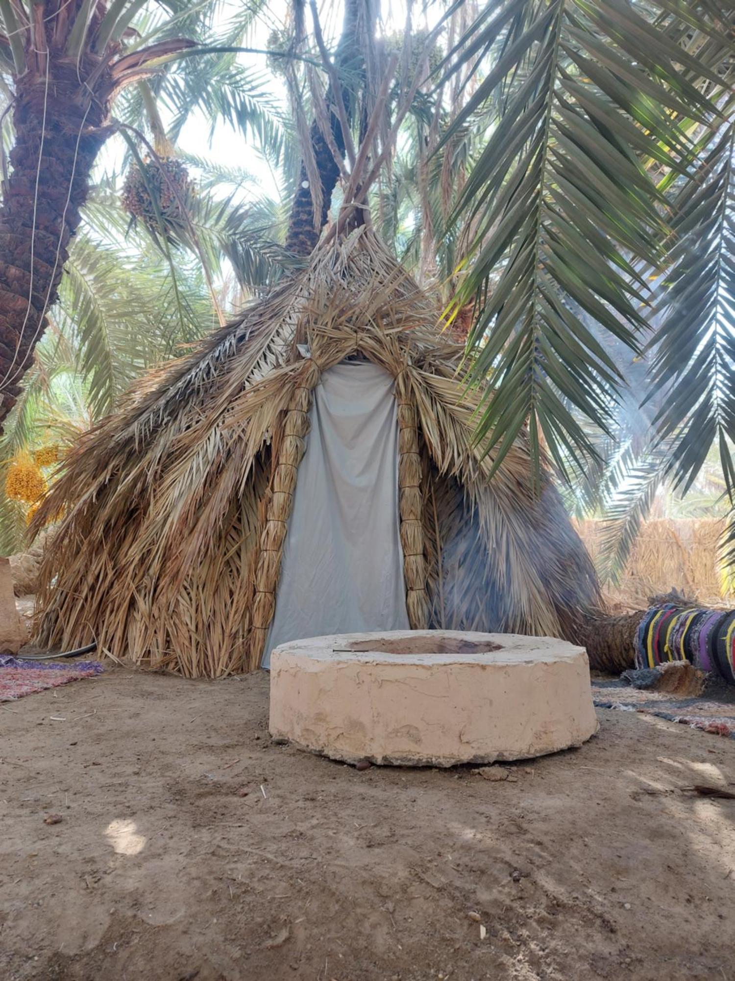 Forest Camp Siwa - كامب الغابة Siwa Oasis ภายนอก รูปภาพ