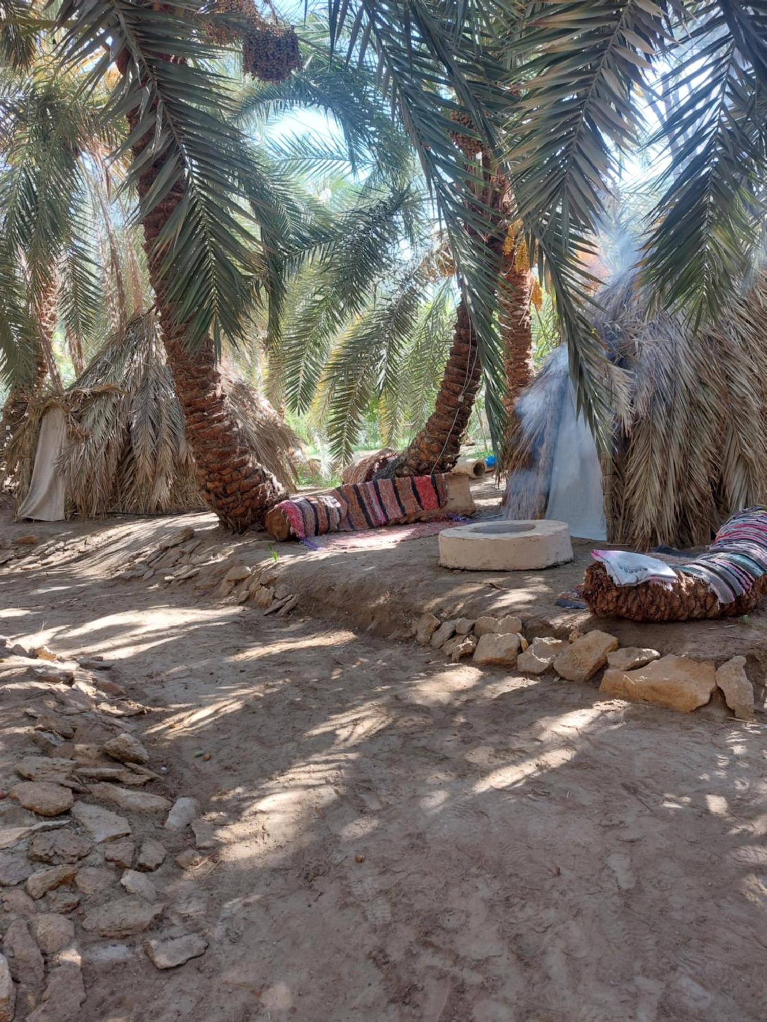 Forest Camp Siwa - كامب الغابة Siwa Oasis ภายนอก รูปภาพ