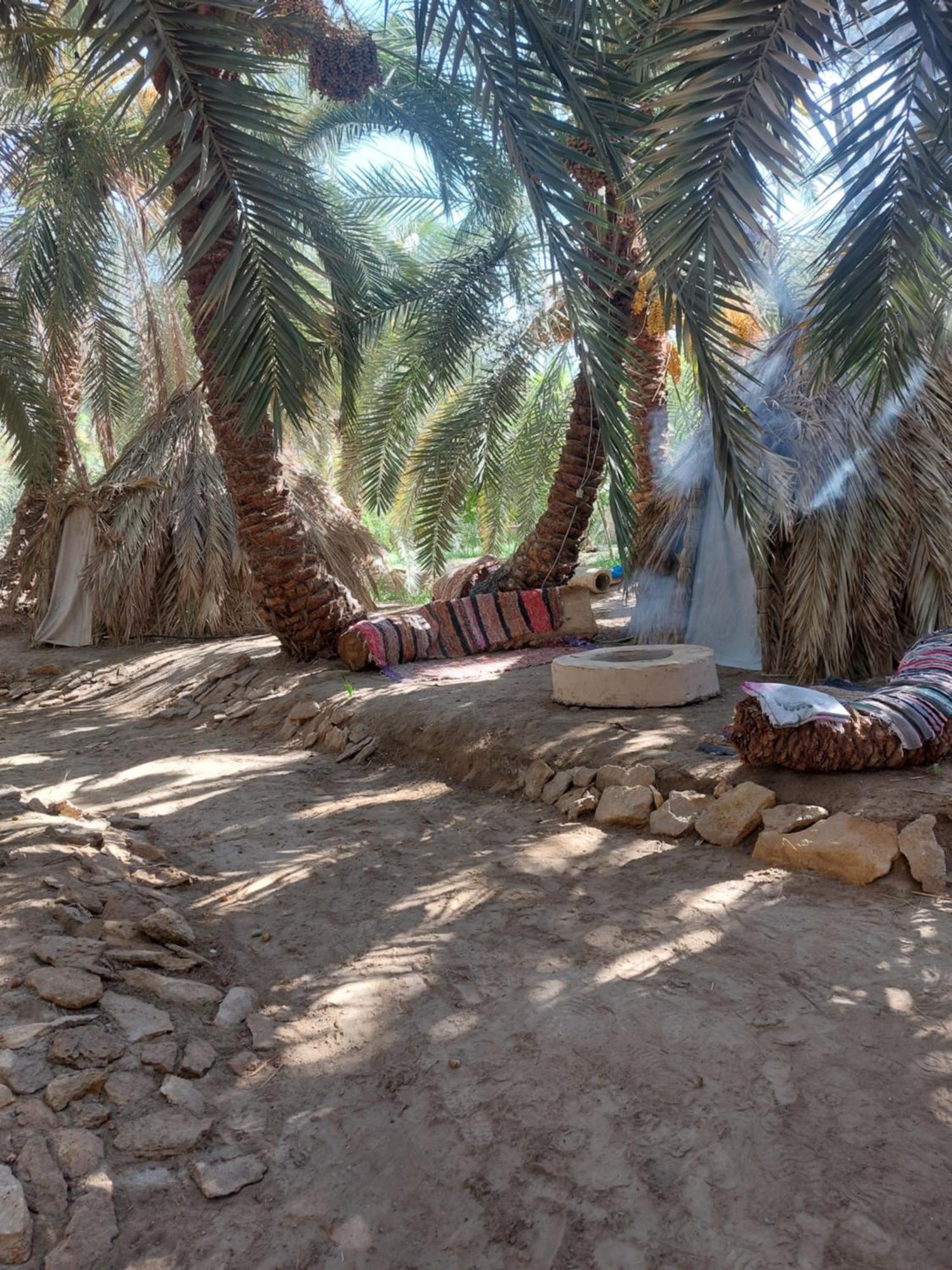 Forest Camp Siwa - كامب الغابة Siwa Oasis ภายนอก รูปภาพ