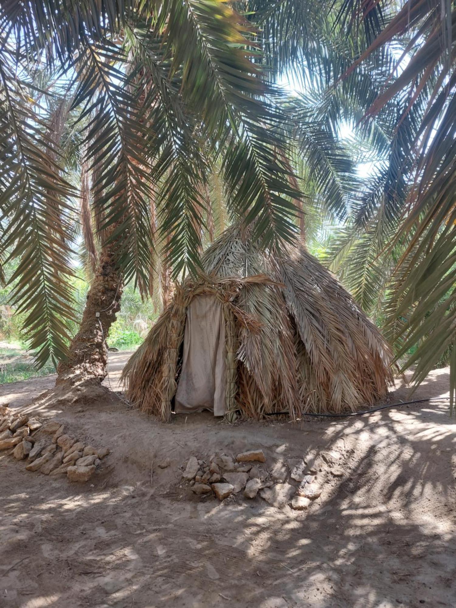 Forest Camp Siwa - كامب الغابة Siwa Oasis ภายนอก รูปภาพ