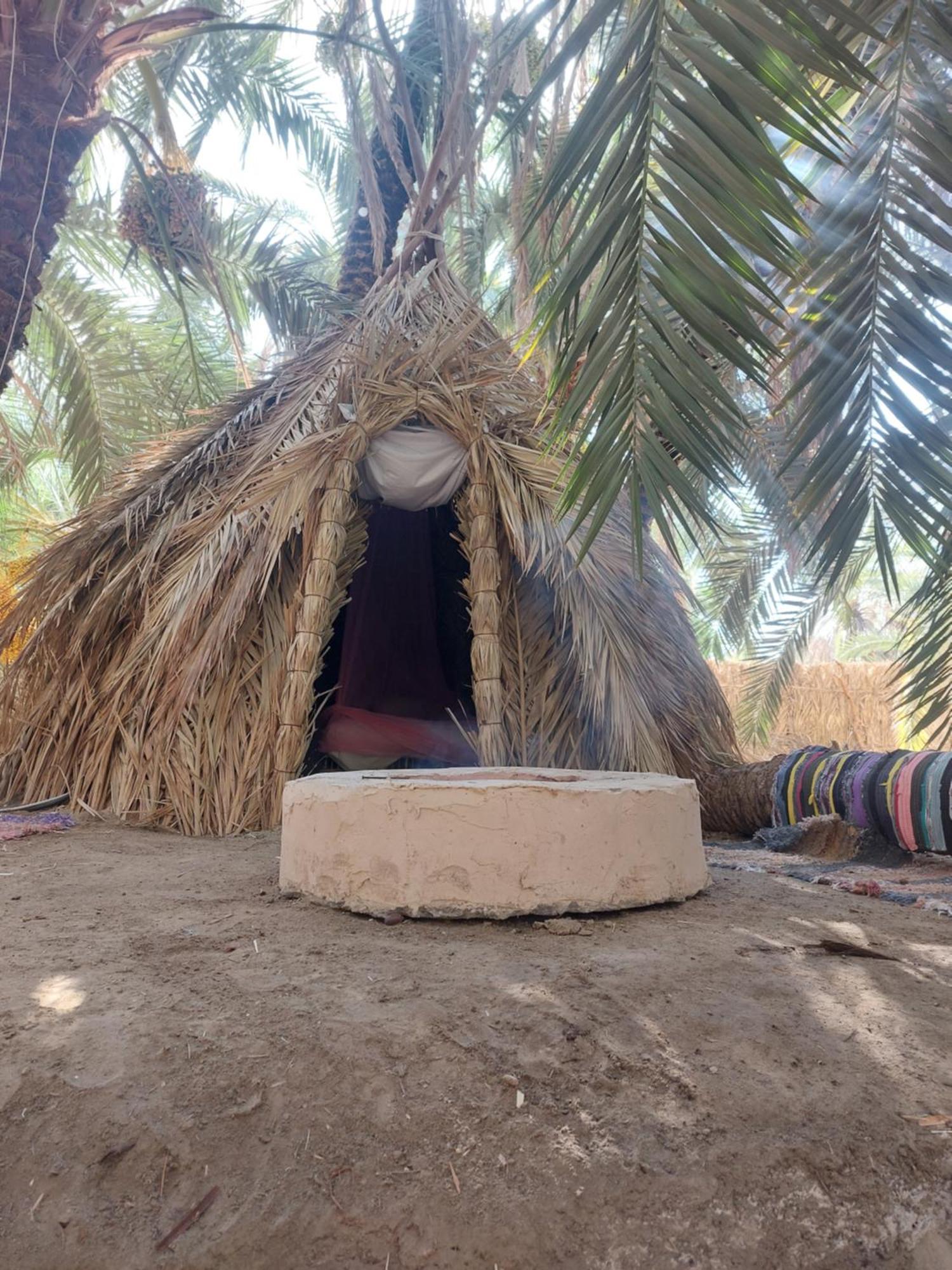 Forest Camp Siwa - كامب الغابة Siwa Oasis ภายนอก รูปภาพ
