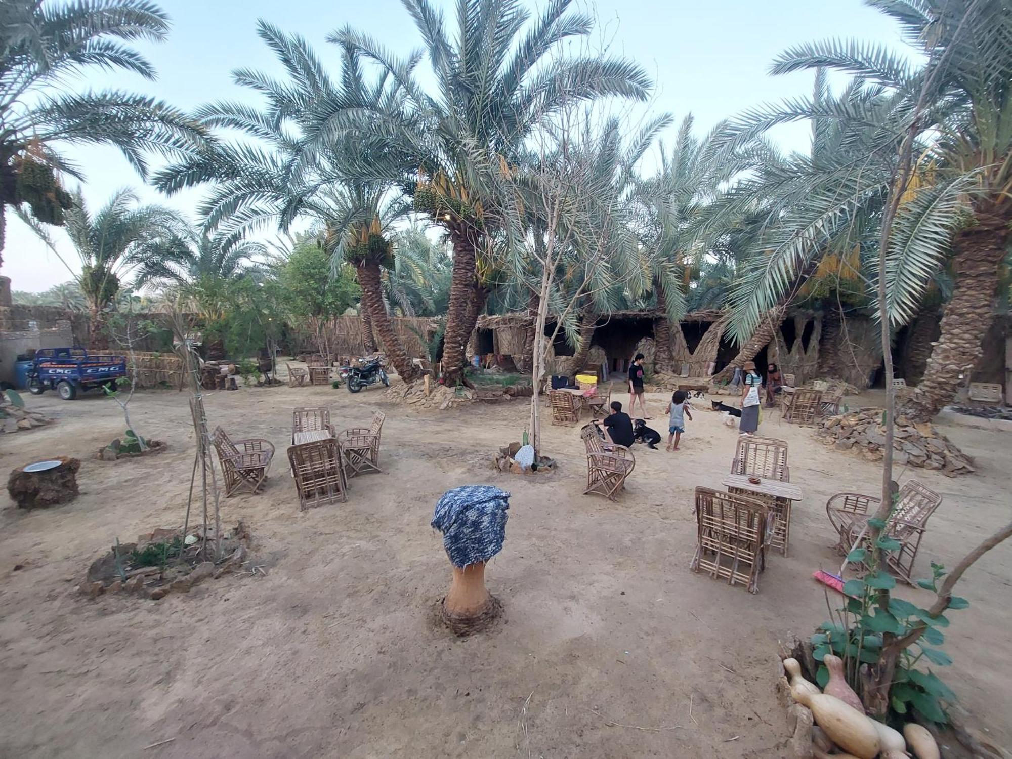 Forest Camp Siwa - كامب الغابة Siwa Oasis ภายนอก รูปภาพ