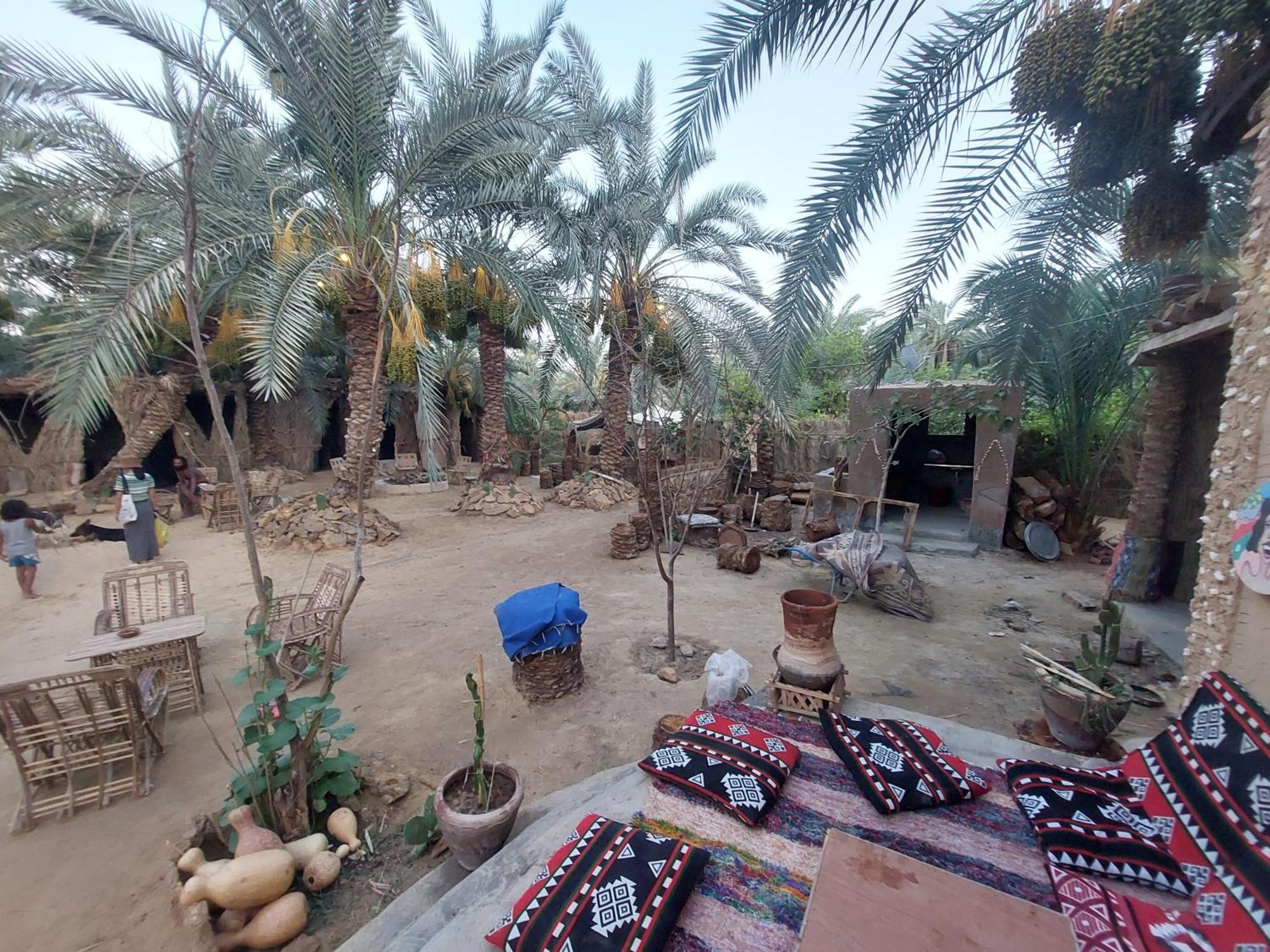 Forest Camp Siwa - كامب الغابة Siwa Oasis ภายนอก รูปภาพ