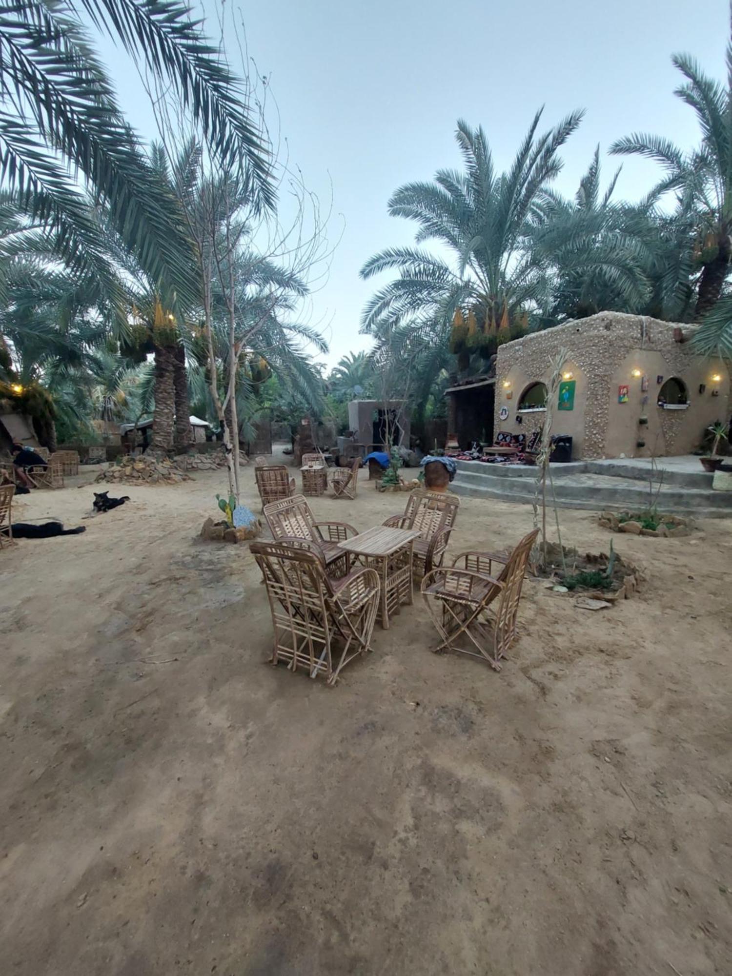 Forest Camp Siwa - كامب الغابة Siwa Oasis ภายนอก รูปภาพ