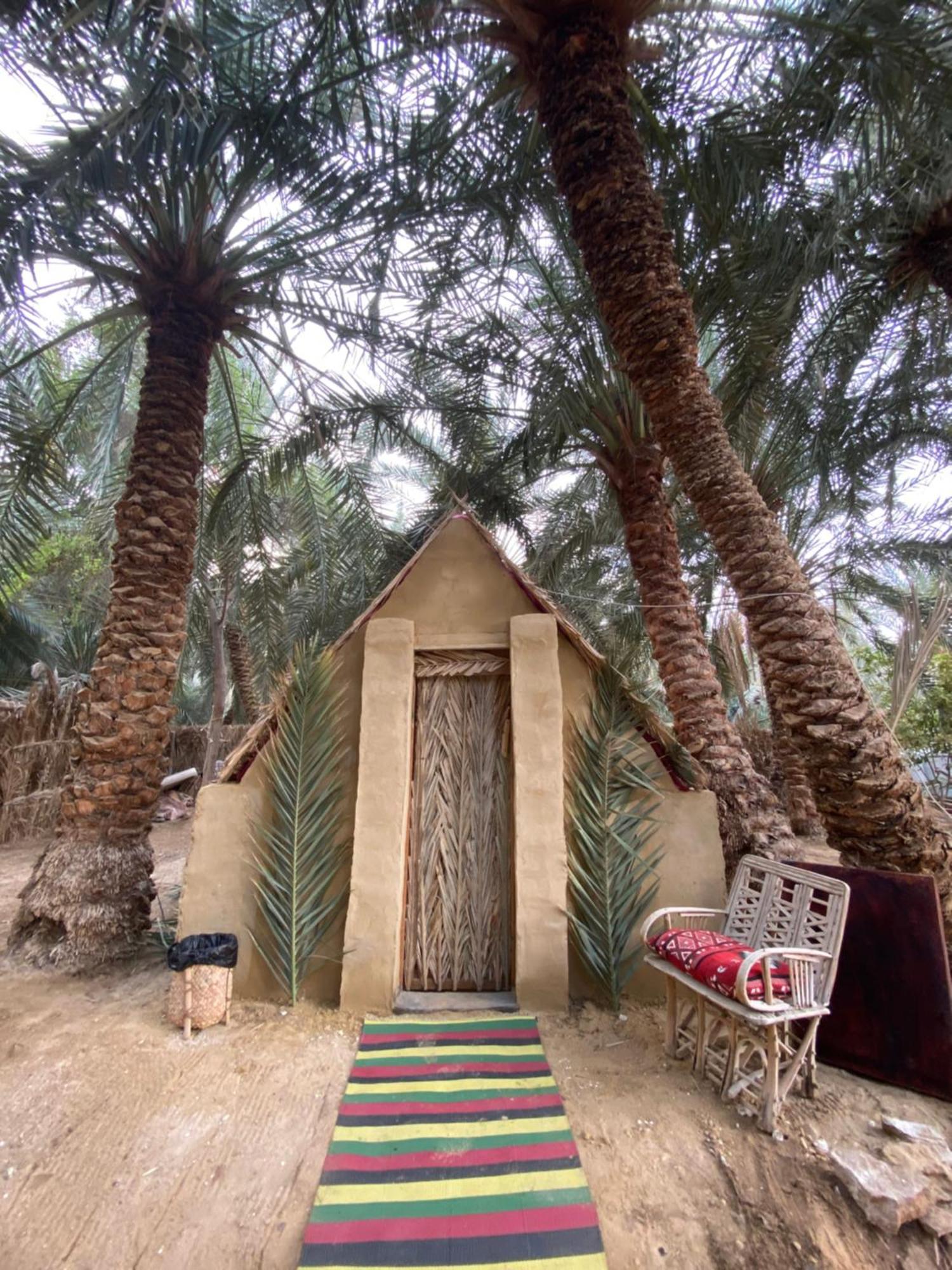 Forest Camp Siwa - كامب الغابة Siwa Oasis ภายนอก รูปภาพ