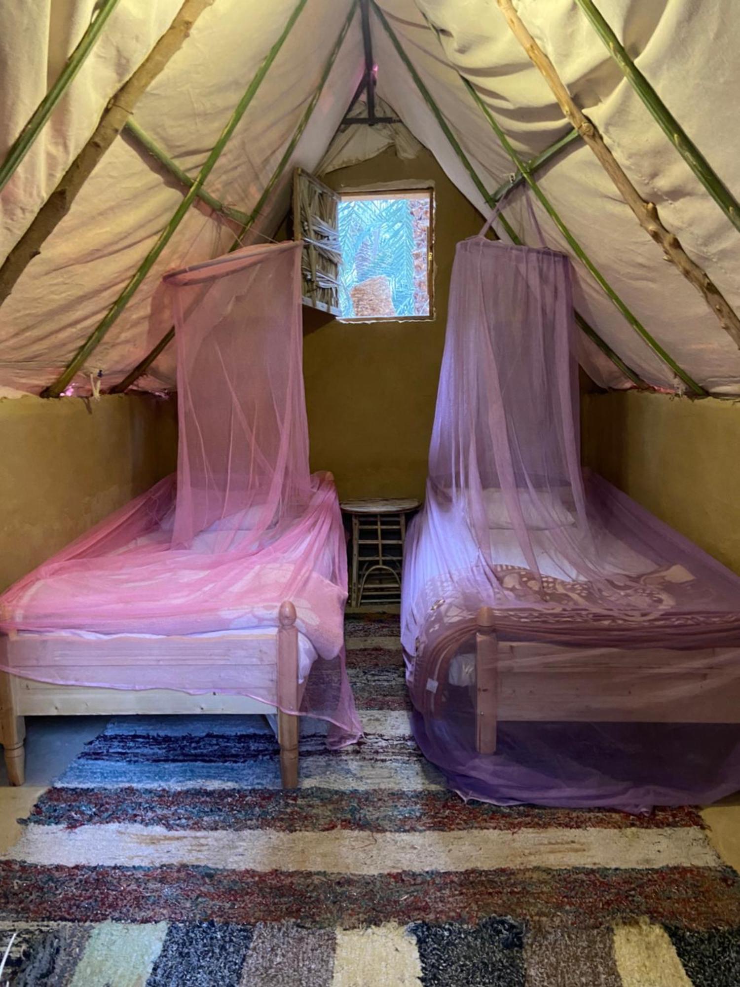 Forest Camp Siwa - كامب الغابة Siwa Oasis ภายนอก รูปภาพ