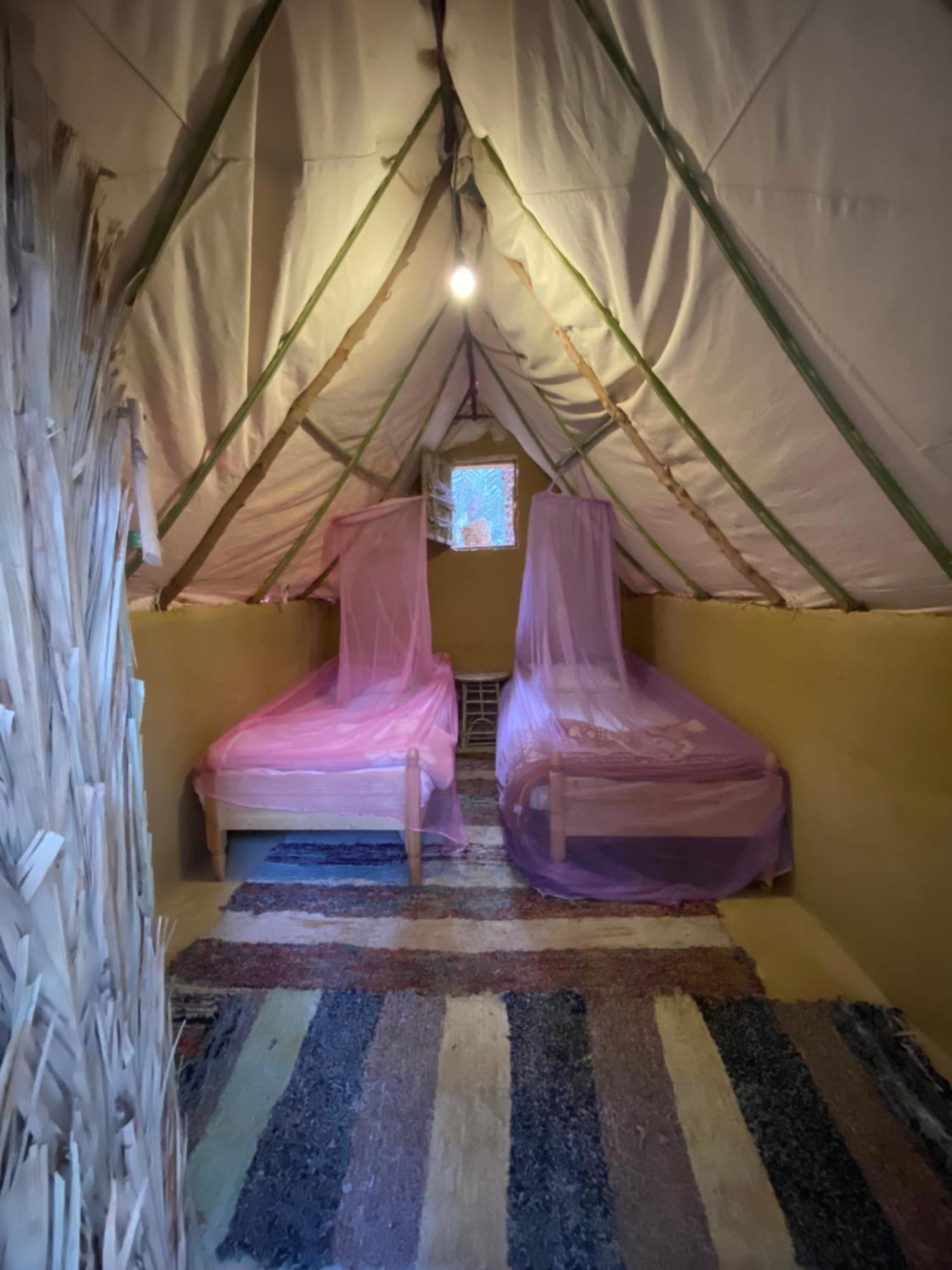 Forest Camp Siwa - كامب الغابة Siwa Oasis ภายนอก รูปภาพ