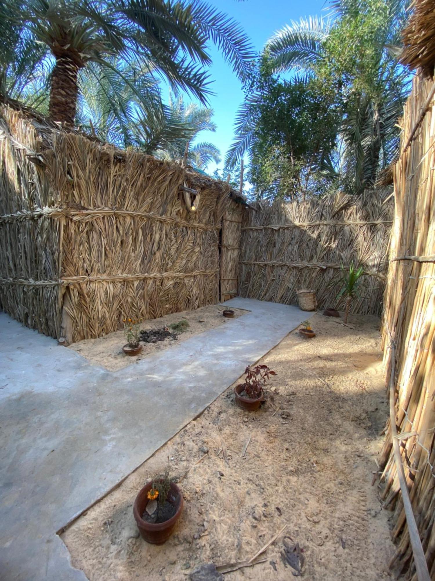 Forest Camp Siwa - كامب الغابة Siwa Oasis ภายนอก รูปภาพ
