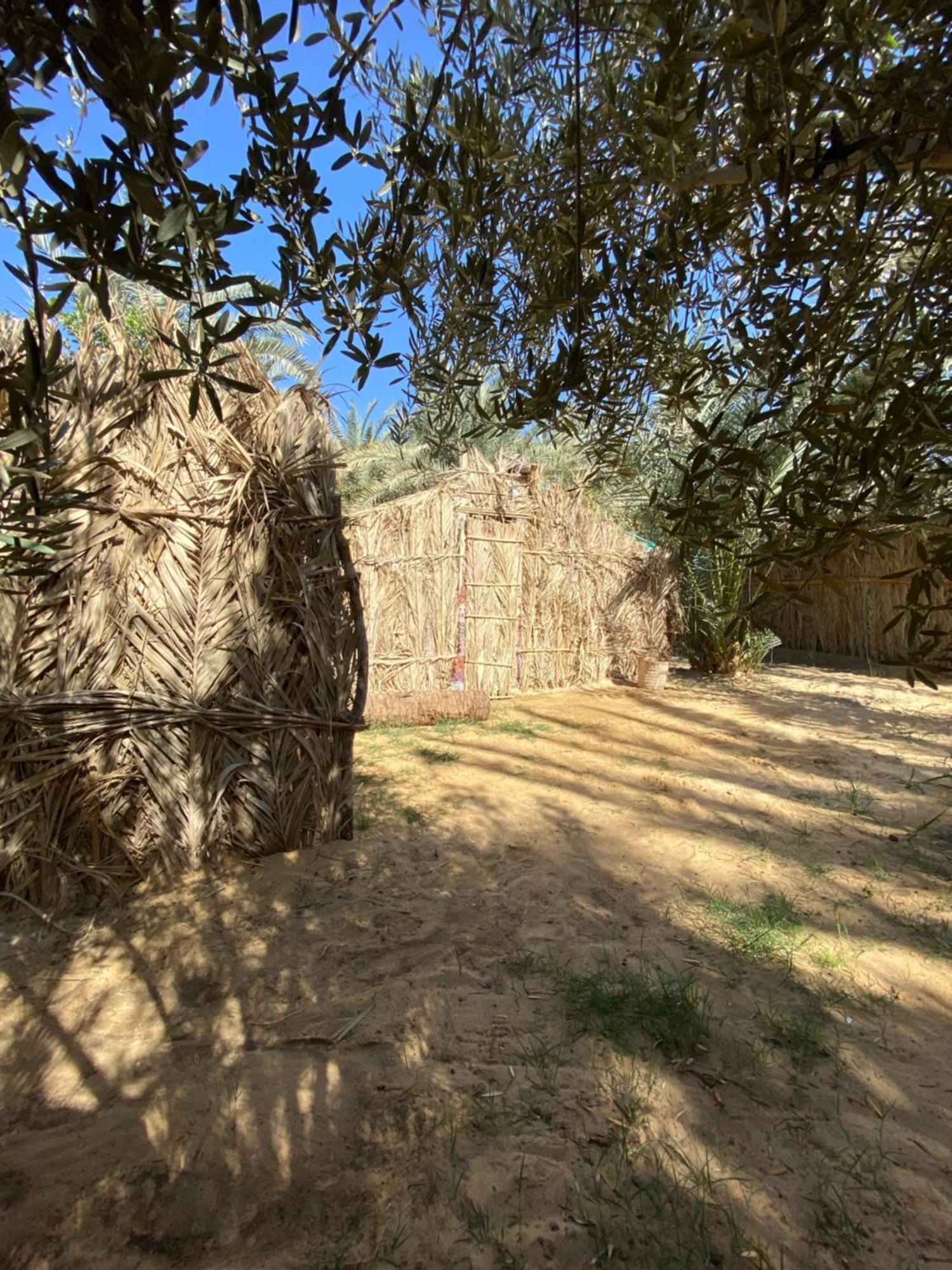 Forest Camp Siwa - كامب الغابة Siwa Oasis ภายนอก รูปภาพ