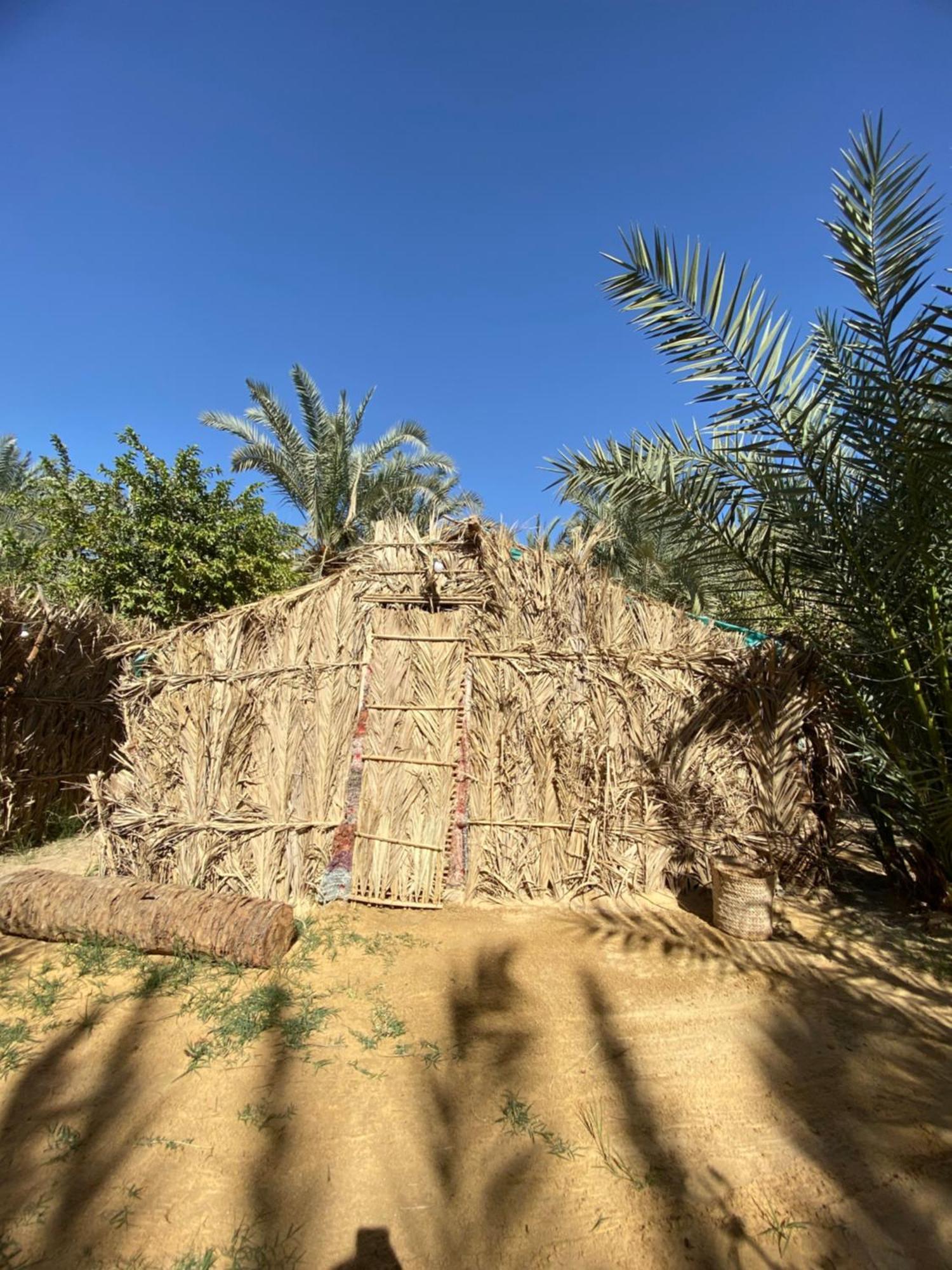 Forest Camp Siwa - كامب الغابة Siwa Oasis ภายนอก รูปภาพ