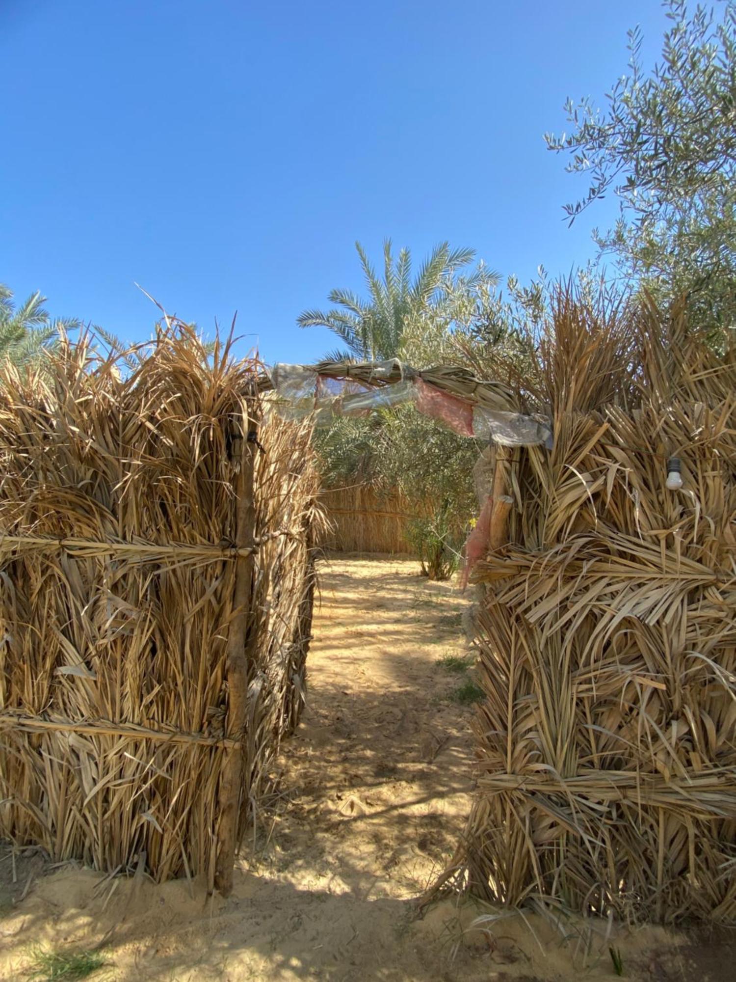 Forest Camp Siwa - كامب الغابة Siwa Oasis ภายนอก รูปภาพ