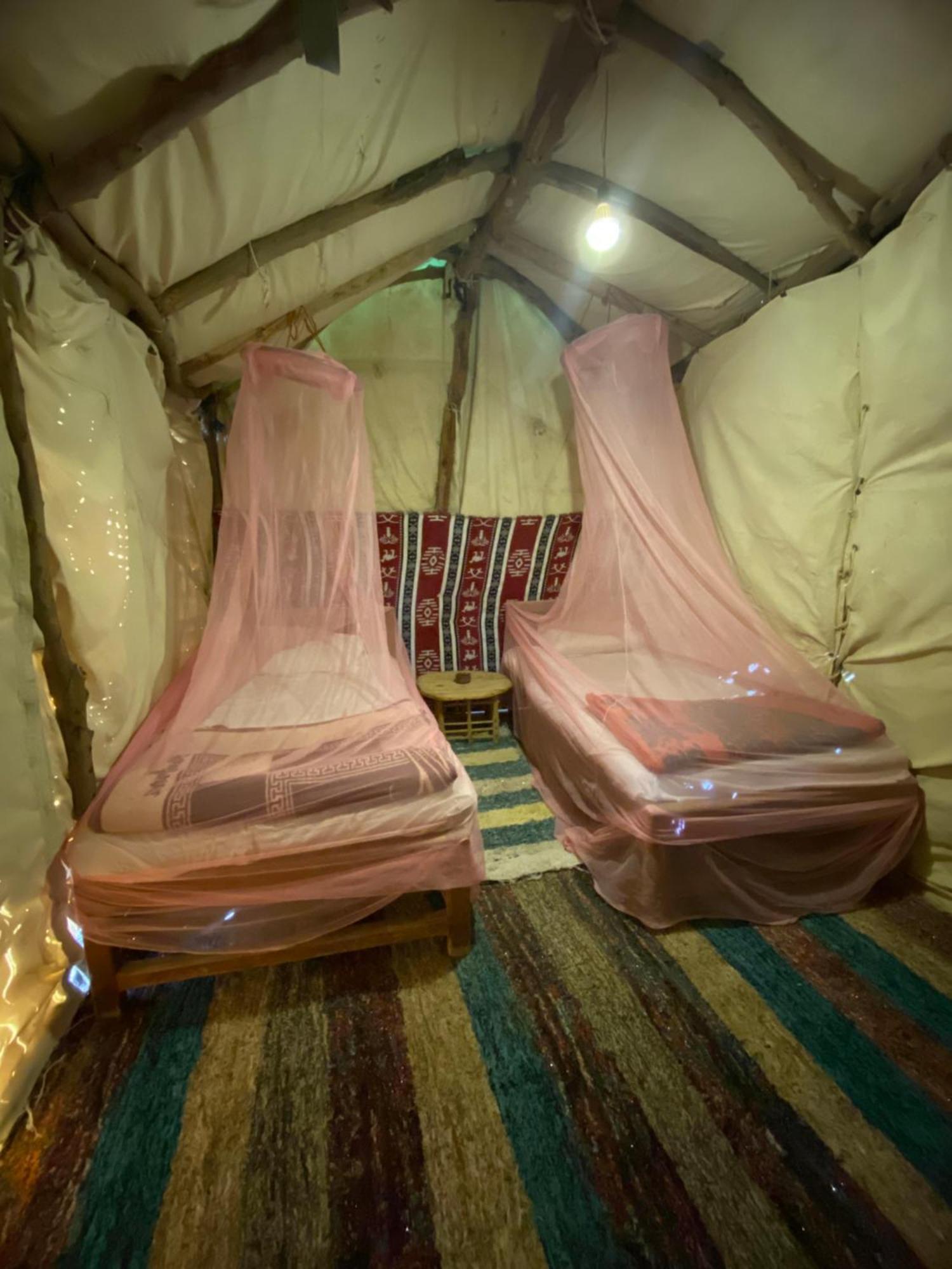 Forest Camp Siwa - كامب الغابة Siwa Oasis ภายนอก รูปภาพ